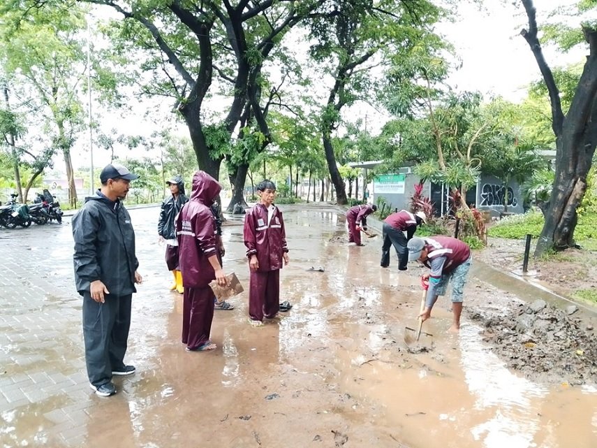 Strategi "Zero Genangan" Kunjung Mae: Aksi Maraton Lurah Syafruddin Bersihkan Jalur Drainase Protokol