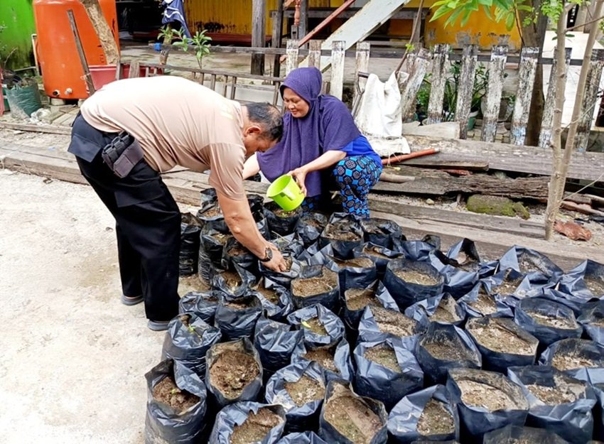Bhabinkamtibmas Barrang Caddi dan Kelompok Tani Parappunganta Lakukan Pemindahan Bibit dan Terong ke Polybag