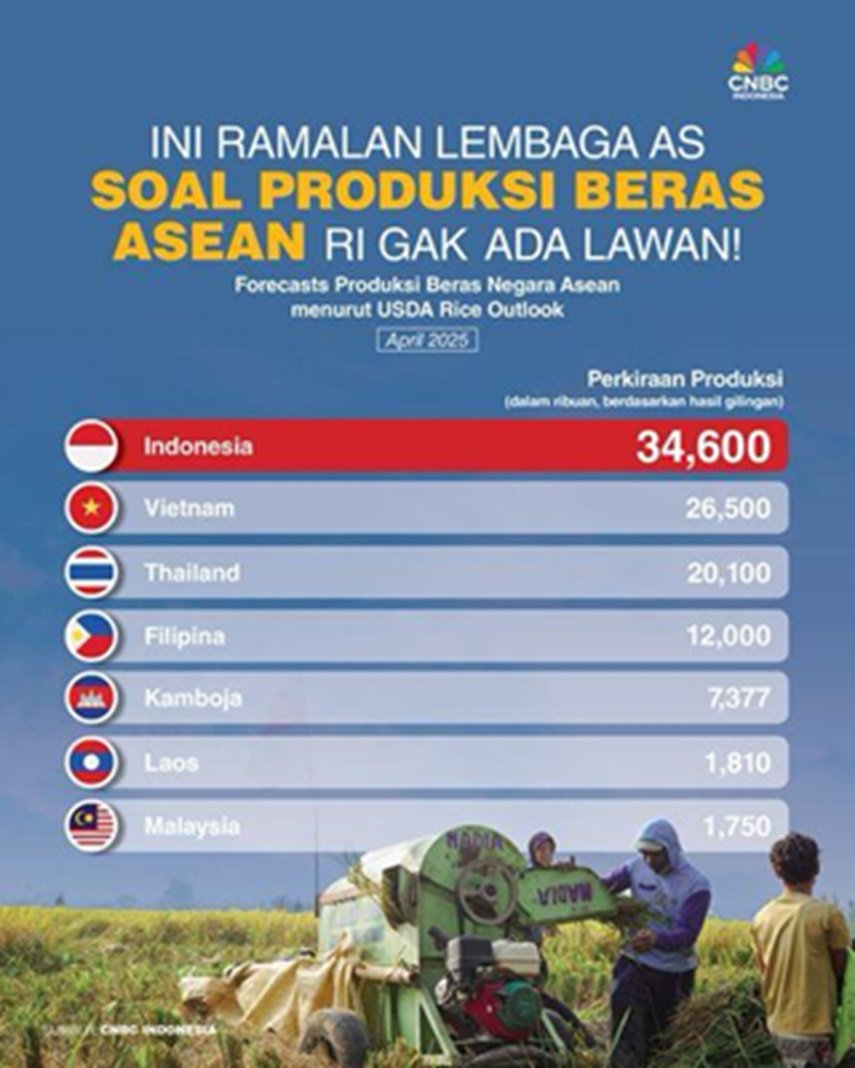 Laporan Terbaru USDA, Indonesia Berhasil Meraih Posisi Tertinggi Dalam Produksi Beras di Kawasan ASEAN
