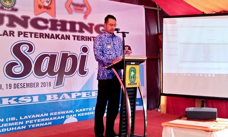 LA SAPI Wadah Promosi Bagi Peternak Sapi