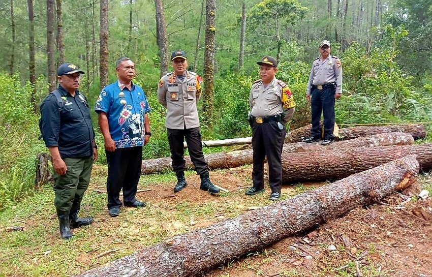 Shinto Silitonga : Hutan Harus Dilestarikan, Dilindungi dan Dimanfaatkan